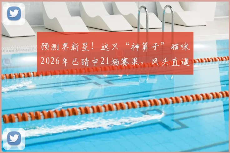 预测界新星!这只“神算子”猫咪2026年已猜中21场赛果,风头直逼传奇章鱼保罗
